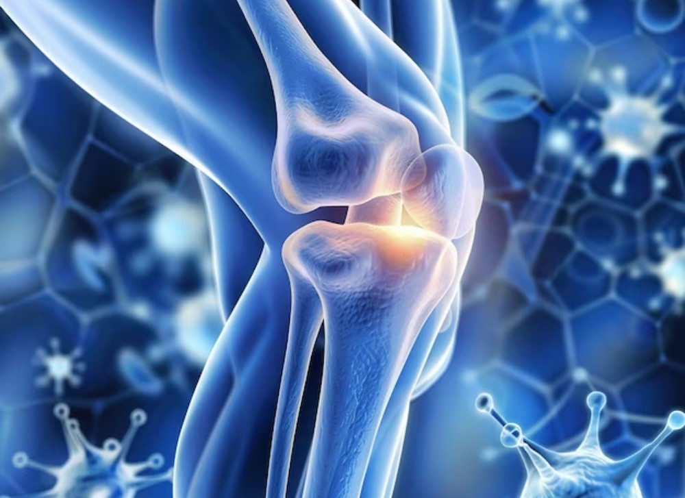 أورام الرأس والرقبة